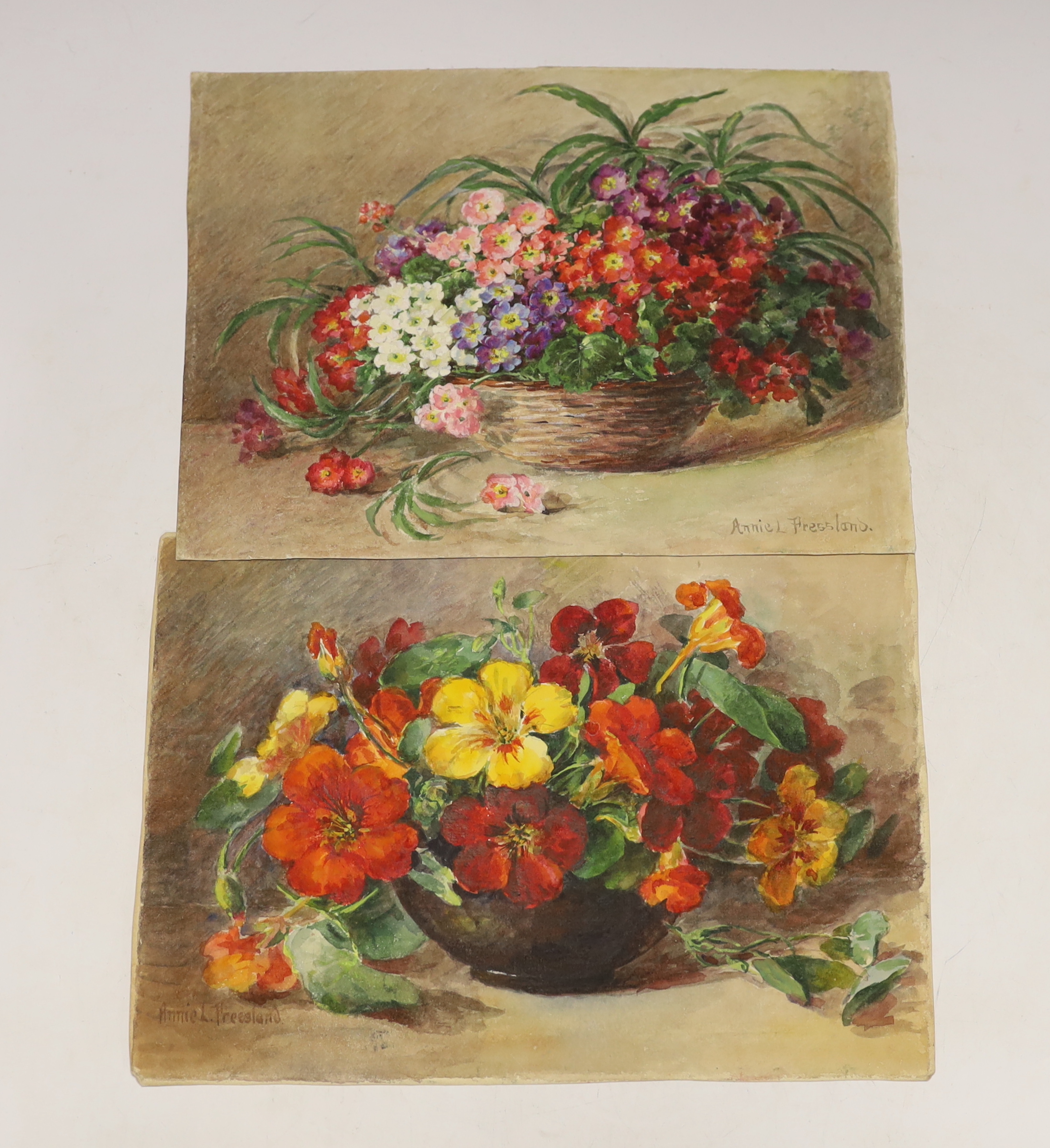 Annie L. Pressland (1862-1933) four watercolours on card, ‘Primulas’, ‘Nasturtiums’, ‘White Pinks & Catmint’ & ‘Freesias & Parma Violets’, each signed, unframed, 28 x 18cm